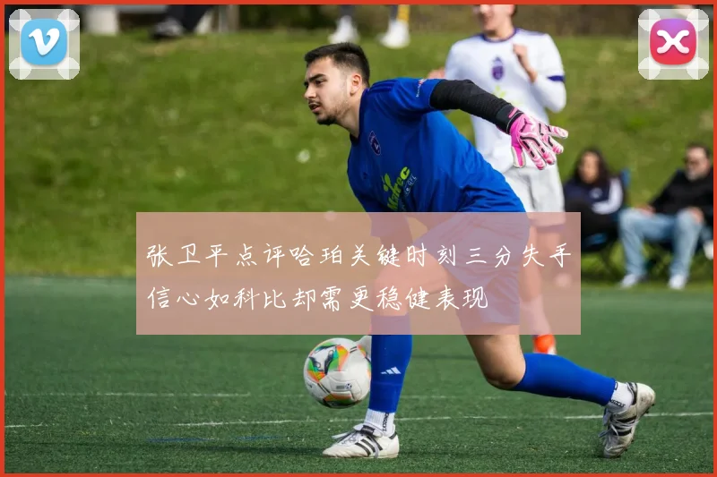 张卫平点评哈珀关键时刻三分失手信心如科比却需更稳健表现