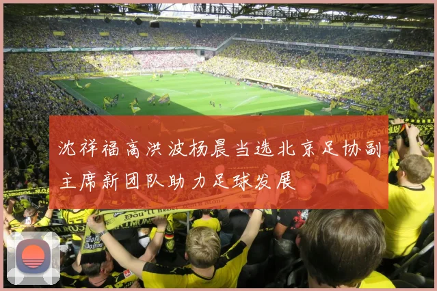 沈祥福高洪波杨晨当选北京足协副主席新团队助力足球发展